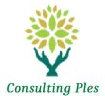 logo Consulting Ples